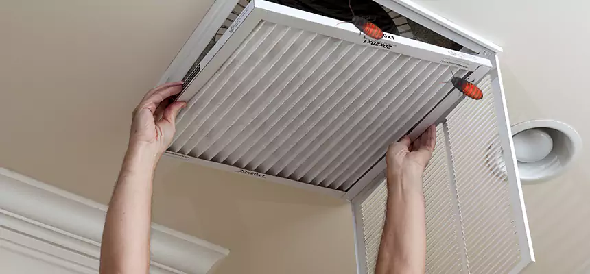 Preventive Cockroach-Proofing for Ducts in Vernon Hills