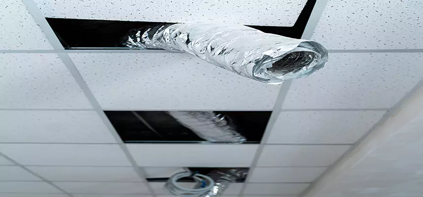 Affordable HVAC Sanitizing After Pest Removal in Vernon Hills