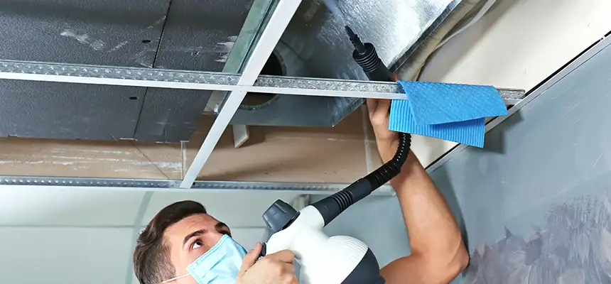 Our Air Duct Rodent Removal Services in Vernon Hills, IL