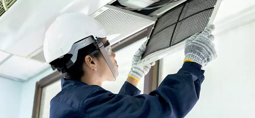 Our Mold & Mildew Removal from Air Ducts Services in Vernon Hills, IL