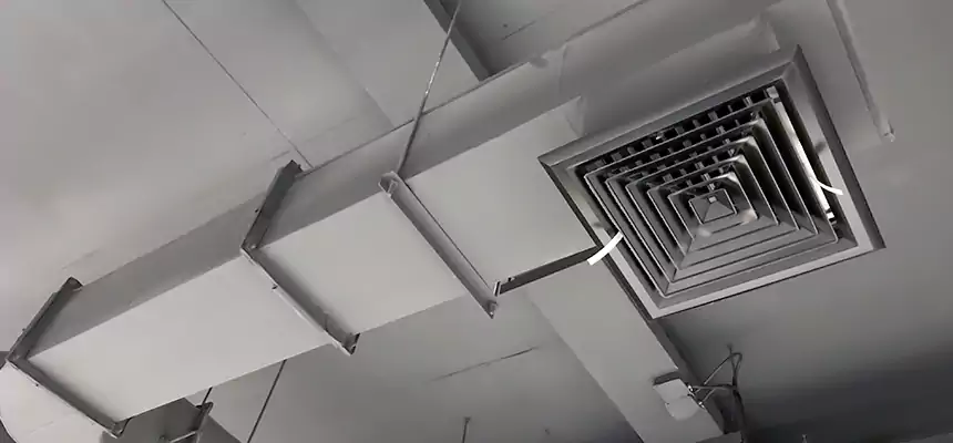 Our Pest Removal From Ducts Services in Vernon Hills, IL