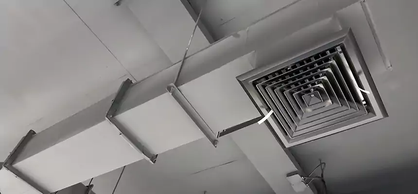 Our Rodent Droppings In Vents Services in Vernon Hills, IL