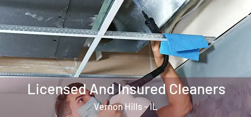  Licensed And Insured Cleaners Vernon Hills - IL