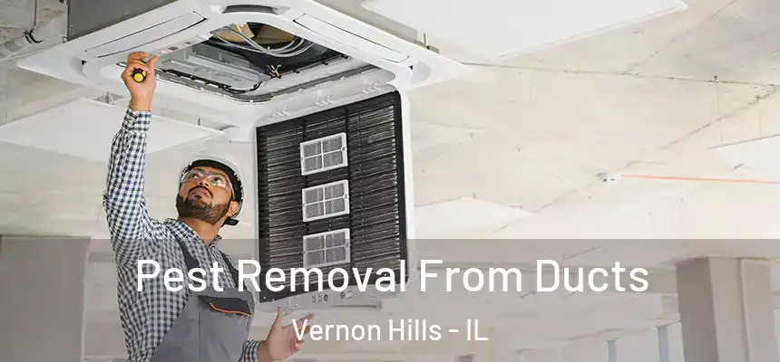  Pest Removal From Ducts Vernon Hills - IL