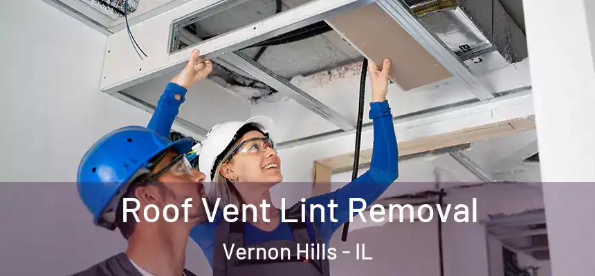 Roof Vent Lint Removal Vernon Hills - IL
