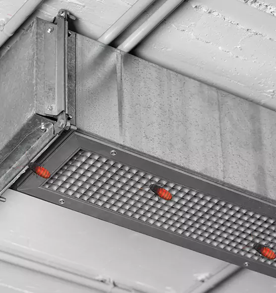 About Air Duct Cockroach Removal in Vernon Hills, IL