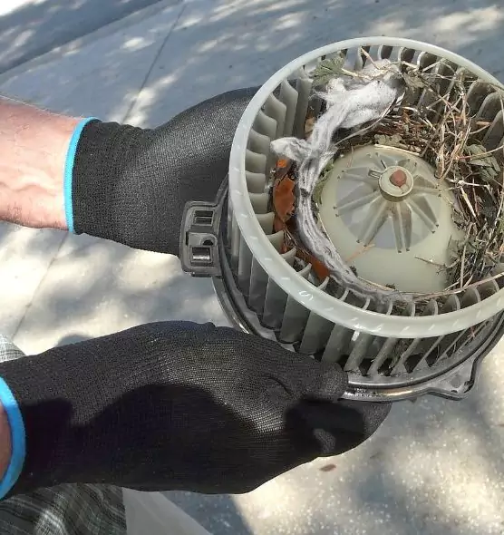 About Air Duct Mice Removal in Vernon Hills, IL