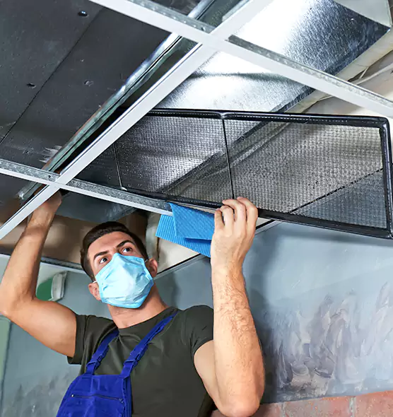 Professional Air Duct Pollen Cleaning in Vernon Hills, IL