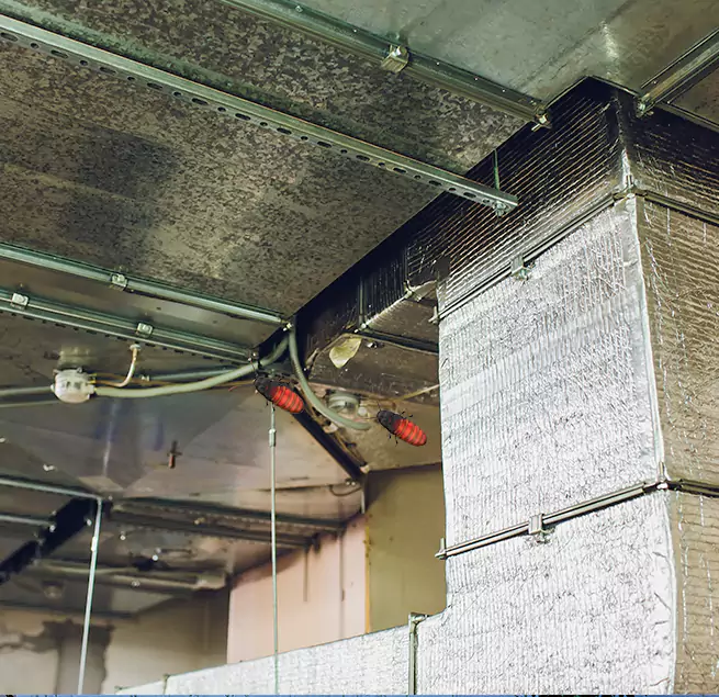 Why Homeowners & Businesses Trust Us in Vernon Hills, IL?