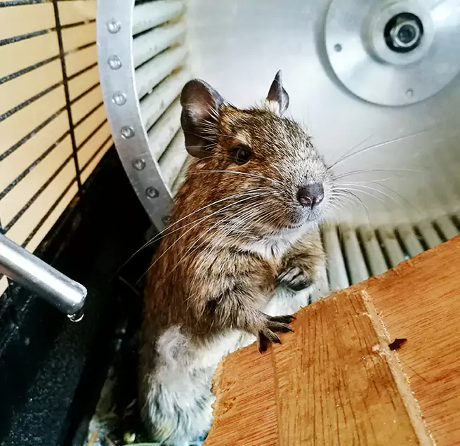 Why Homeowners & Businesses Trust Us Vernon Hills, IL