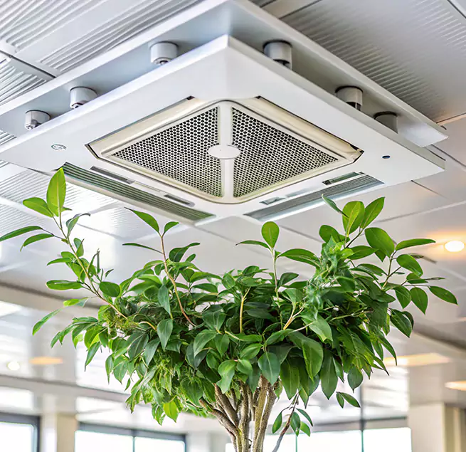 Why Homeowners & Businesses Trust Us in Vernon Hills, IL?