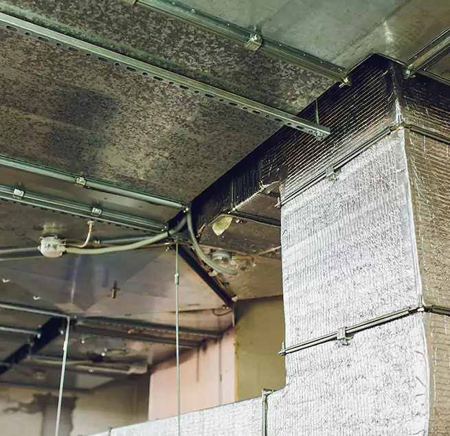 Why Homeowners & Businesses Trust Us in Vernon Hills, IL?